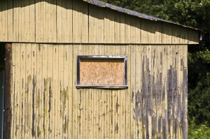 DSC_0432